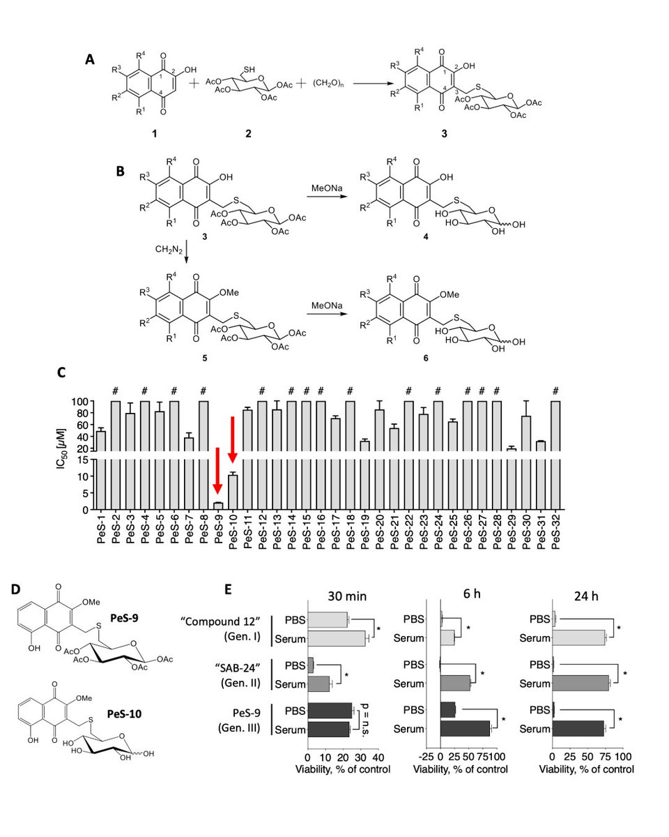 Online now. Simultaneous publication with an #AACR25 poster: 6-((1,4-naphthoquinone-2-yl)methyl)thio-glucose conjugates, a novel targeted approach for advanced #prostatecancer. doi.org/10.1158/1535-7… <a href="/AACR/">AACR</a>