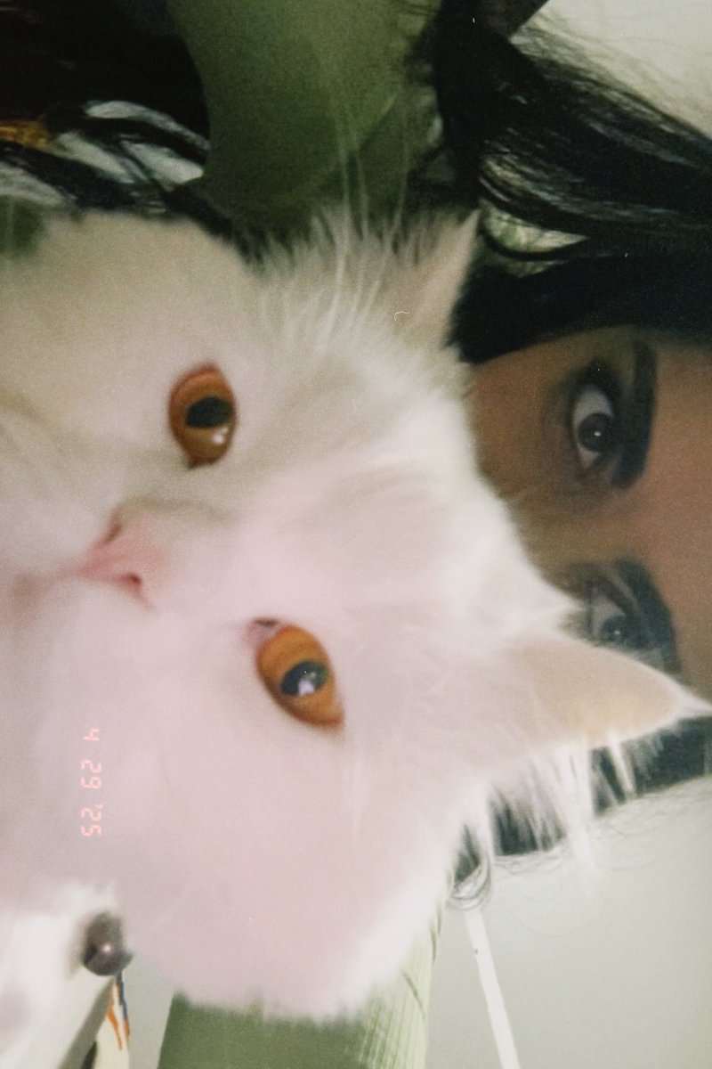 useerrt's tweet image. البسات بتخليني اعطس ومع هيك بنحب بنتصور مع بعض ✨