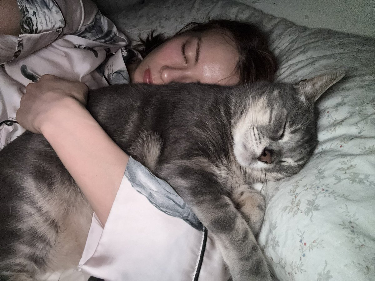 Lauren Tsai (@lalachuu) on Twitter photo 