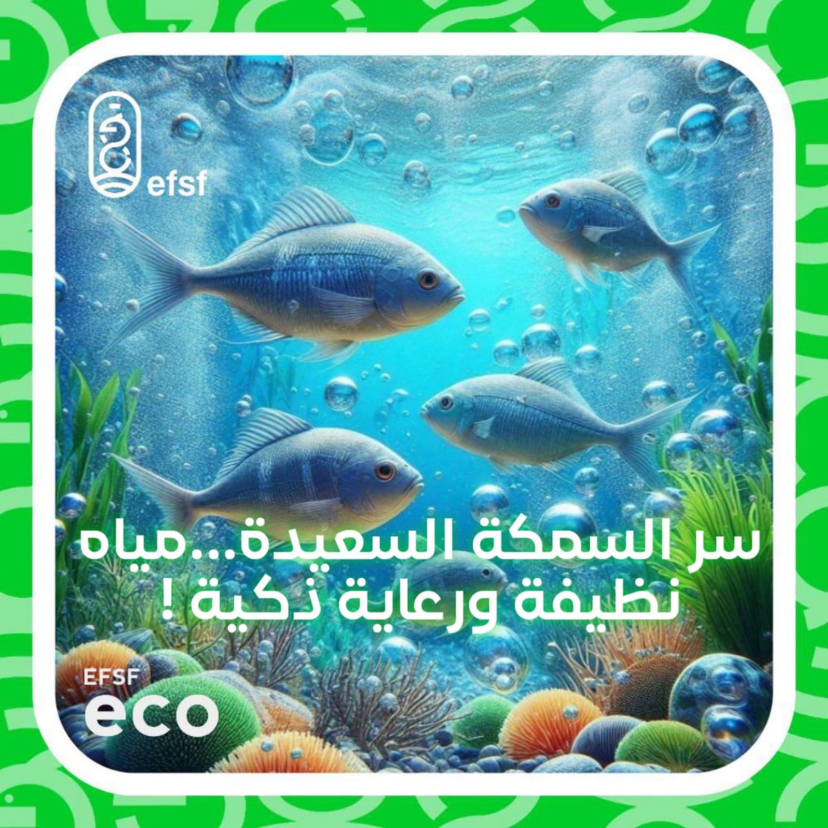 EFSF_1's tweet photo. لازم تكون عارف أن صحة الأسماك بتبدأ من نظافة المياه👀🌊🐟
الأسماك كائنات حساسة جدًا لأي تغير في بيئتها. وجود مياه نظيفة، خالية من الملوثات والمواد الضارة، بيؤثر مباشرة على نموها، مناعتها، وسلوكها.
.
.
.
يتبع..🤨👇🏻 https://t.co/MaIYx18SFD