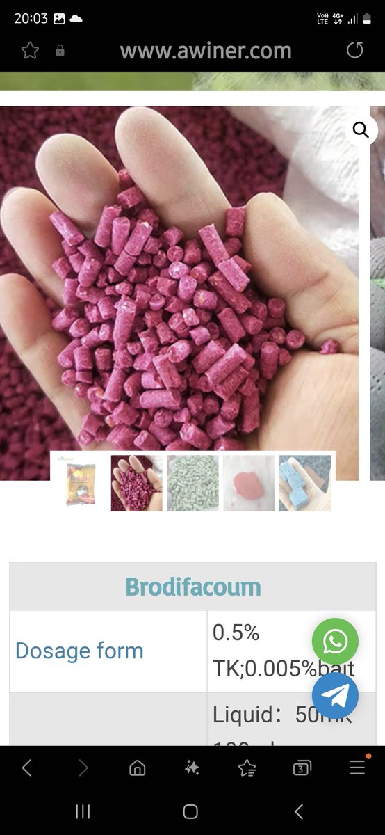 streethawk1977's tweet photo. @PetsatHome why would you design your Wild Bird Suet Pellets to look exactly like rat poison pellets? I have had to take my dog to the vet as unsure what she has eaten and Google searches have proven I am not the olnly one! https://t.co/1vG5XNHUaY