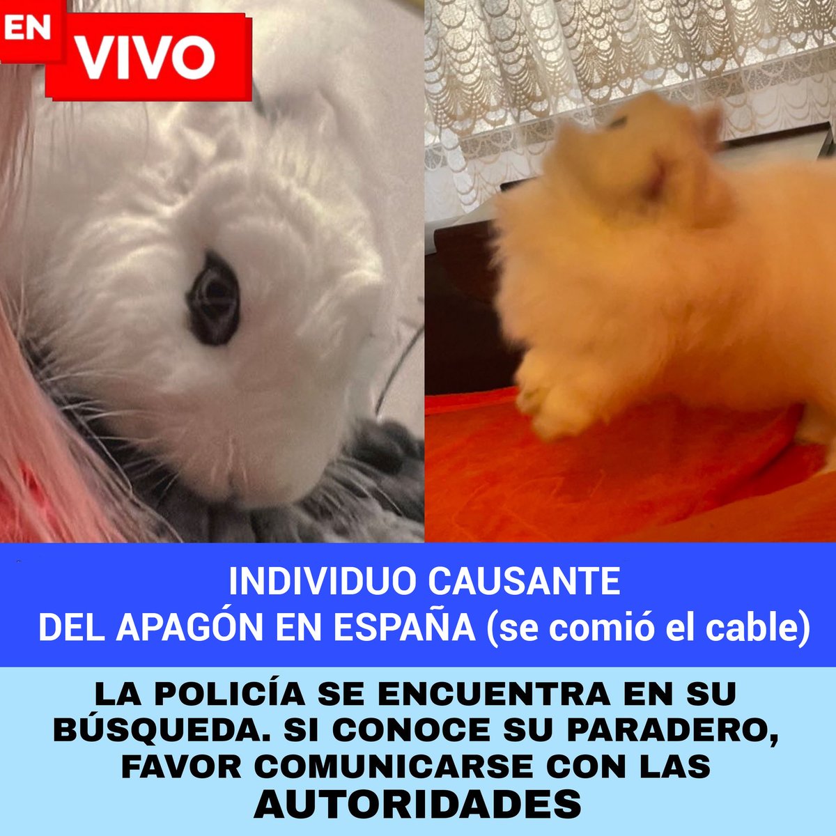 meieff Out of Context (@oocmeieff) on Twitter photo 