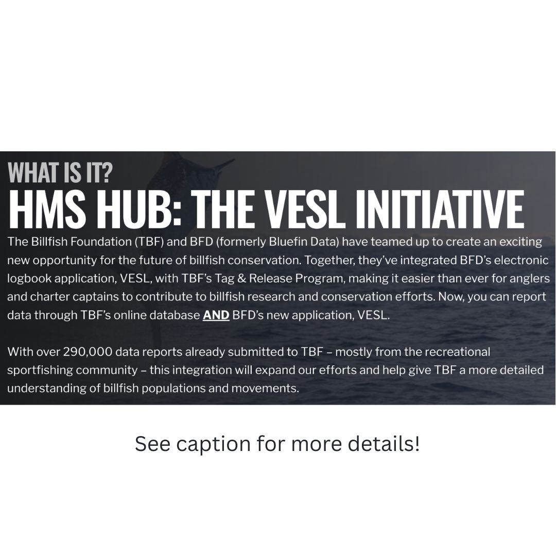 Your Voice. Your Fish. Your Future.
The HMS Hub is a no-nonsense resource for anglers chasing billfish &amp; tuna.
Stay informed. Be counted. Help shape the future of our fishery.
👉 billfish.org/hms-hub
