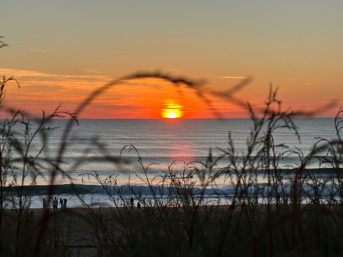 Floxygen_'s tweet image. Le Sud Ouest.. tellement bon de profiter de la plage et du beau temps avant l’arrivée des touristes 
📍Ondres plage