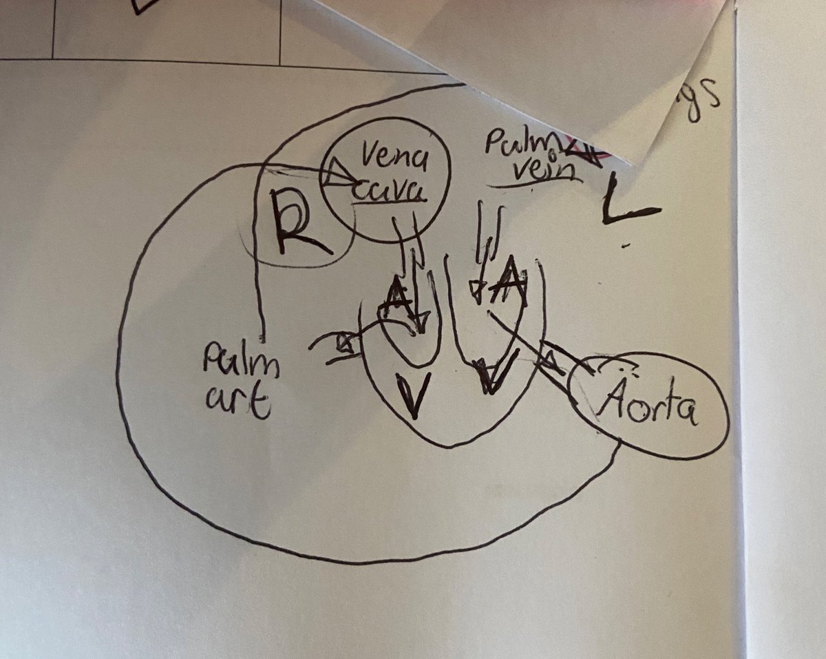 MissWadden's tweet image. This makes me so happy… 😍🤩 #iykyk #mocks