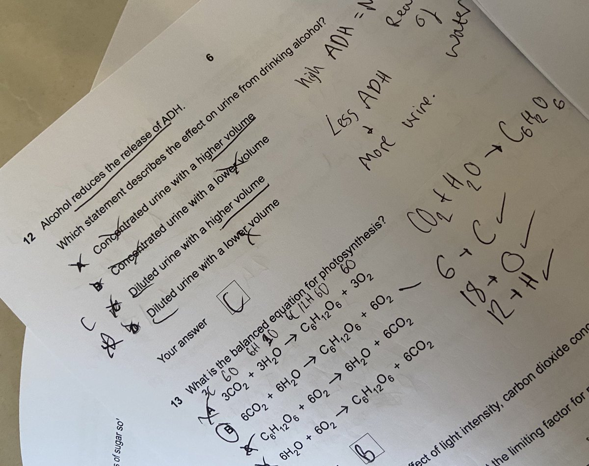 MissWadden's tweet image. This makes me so happy… 😍🤩 #iykyk #mocks