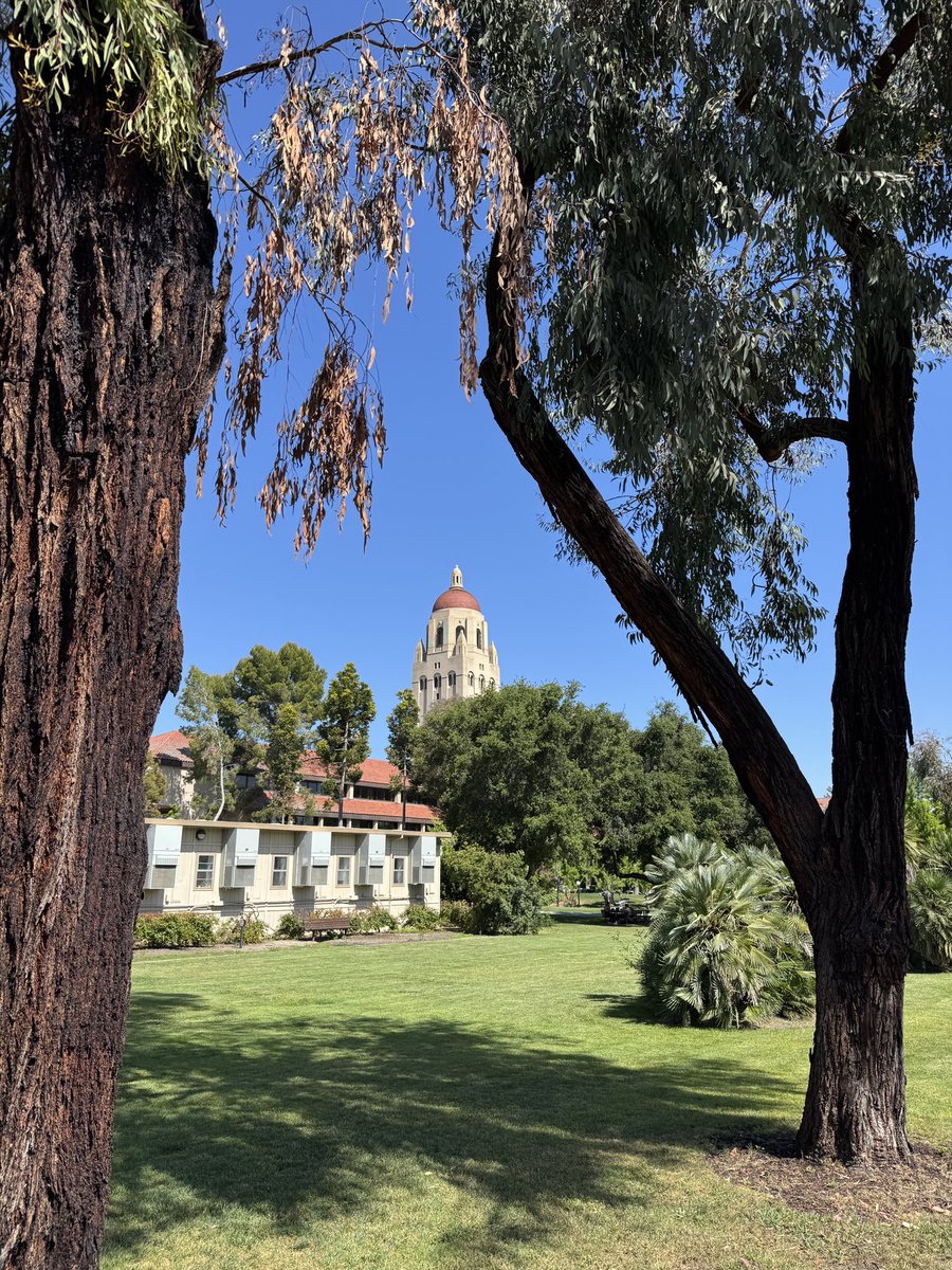 Scott Rowe Ed.D. tweet media