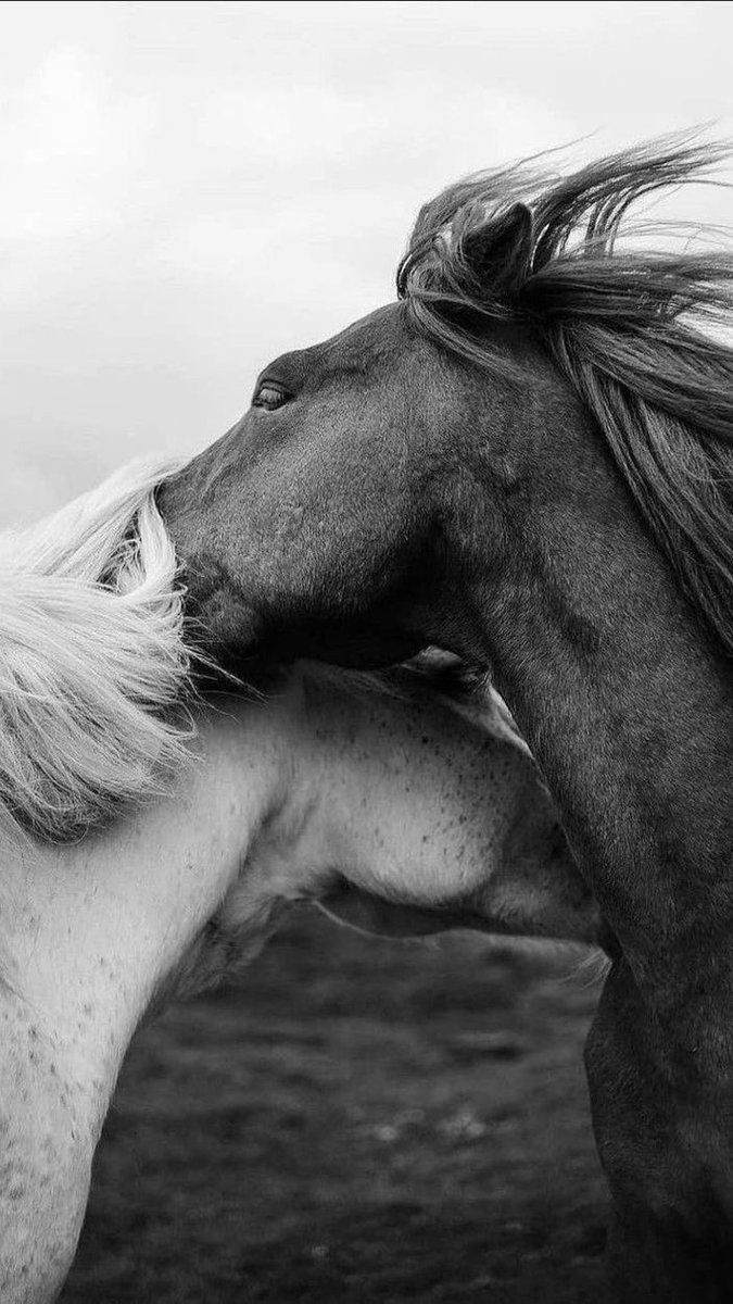 Warchillect (@warchillect) on Twitter photo 