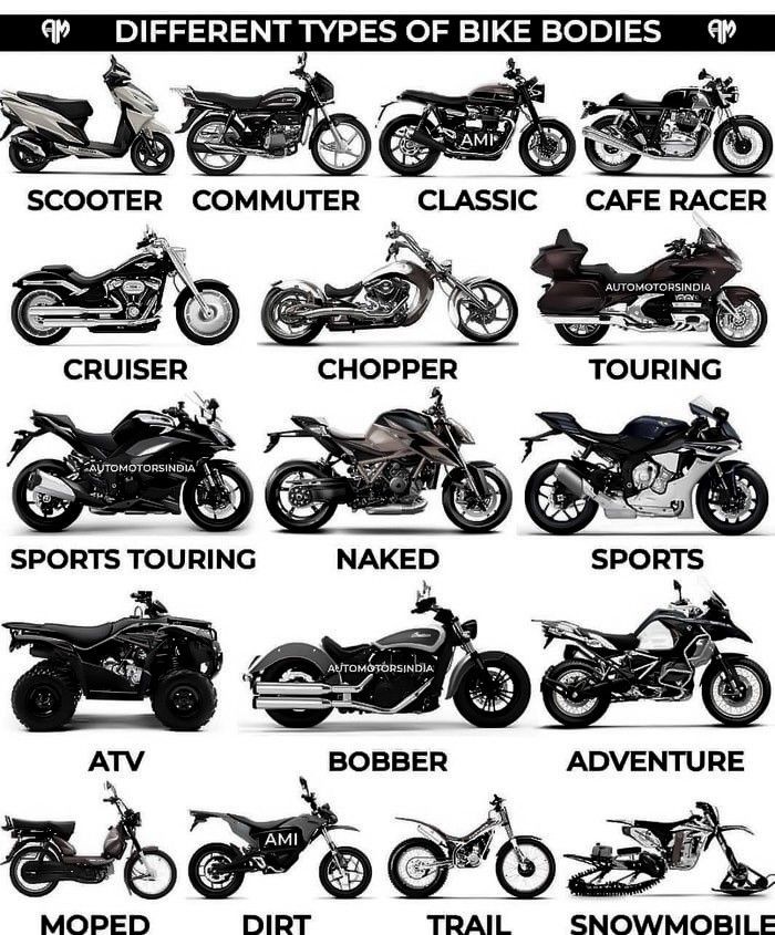 Different types of bike bodies