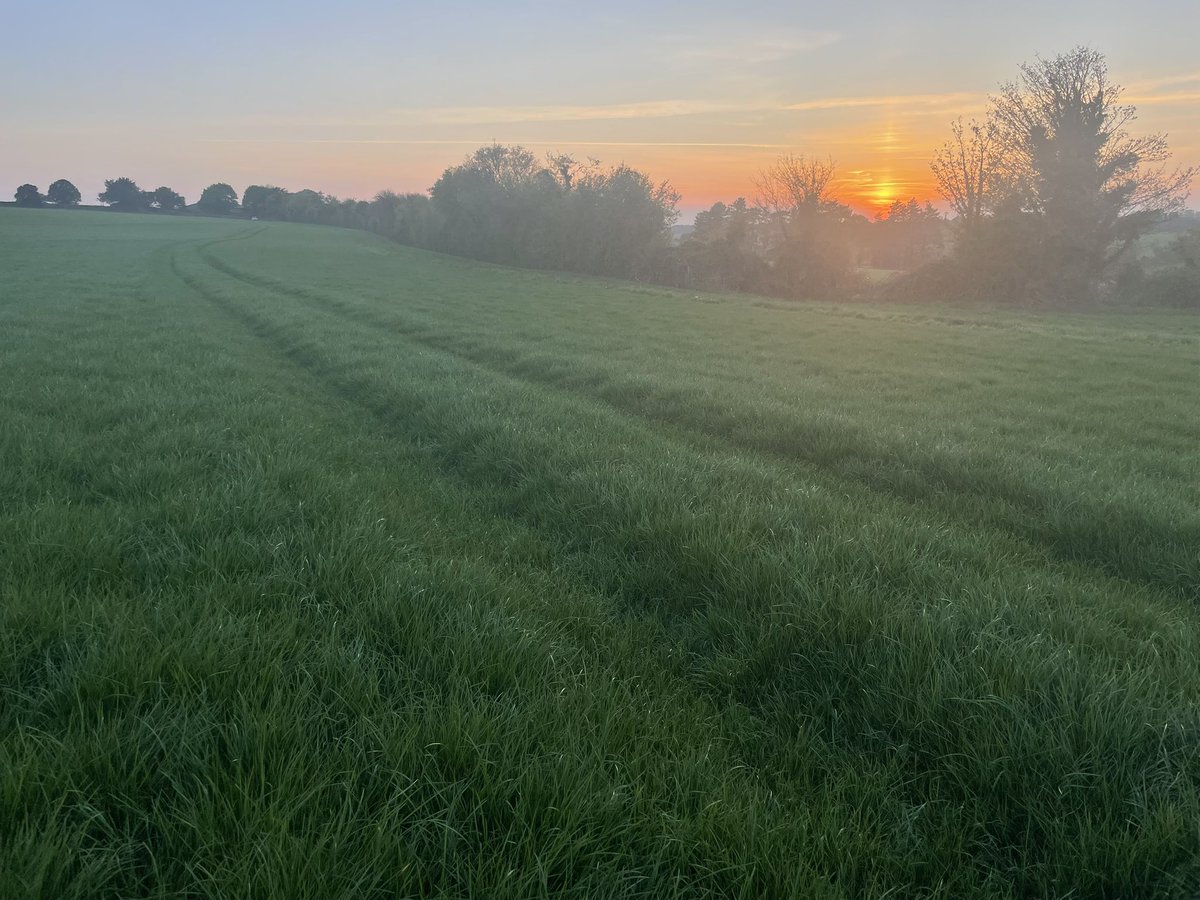 Grace Welling tweet media