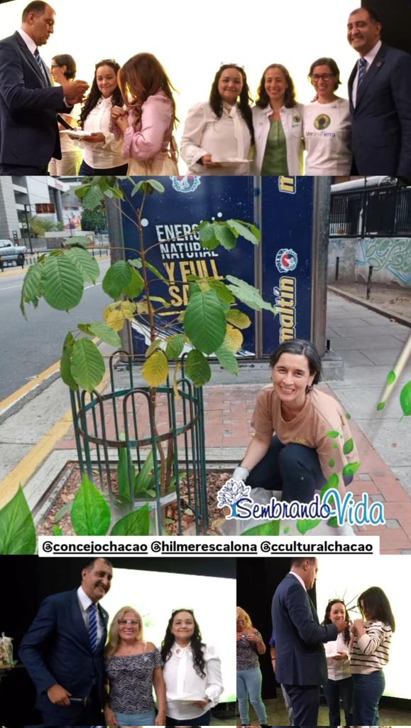 Orgullosa de ser madrina junto a <a href="/BethelmyLisbeth/">Lisbeth Bethelmy</a>, con nuestra ONG @verdelatierra, de un hermoso araguaney. Su nombre de bautizo: Luz de Sol ☺️🫶🏻💚🌳🇻🇪