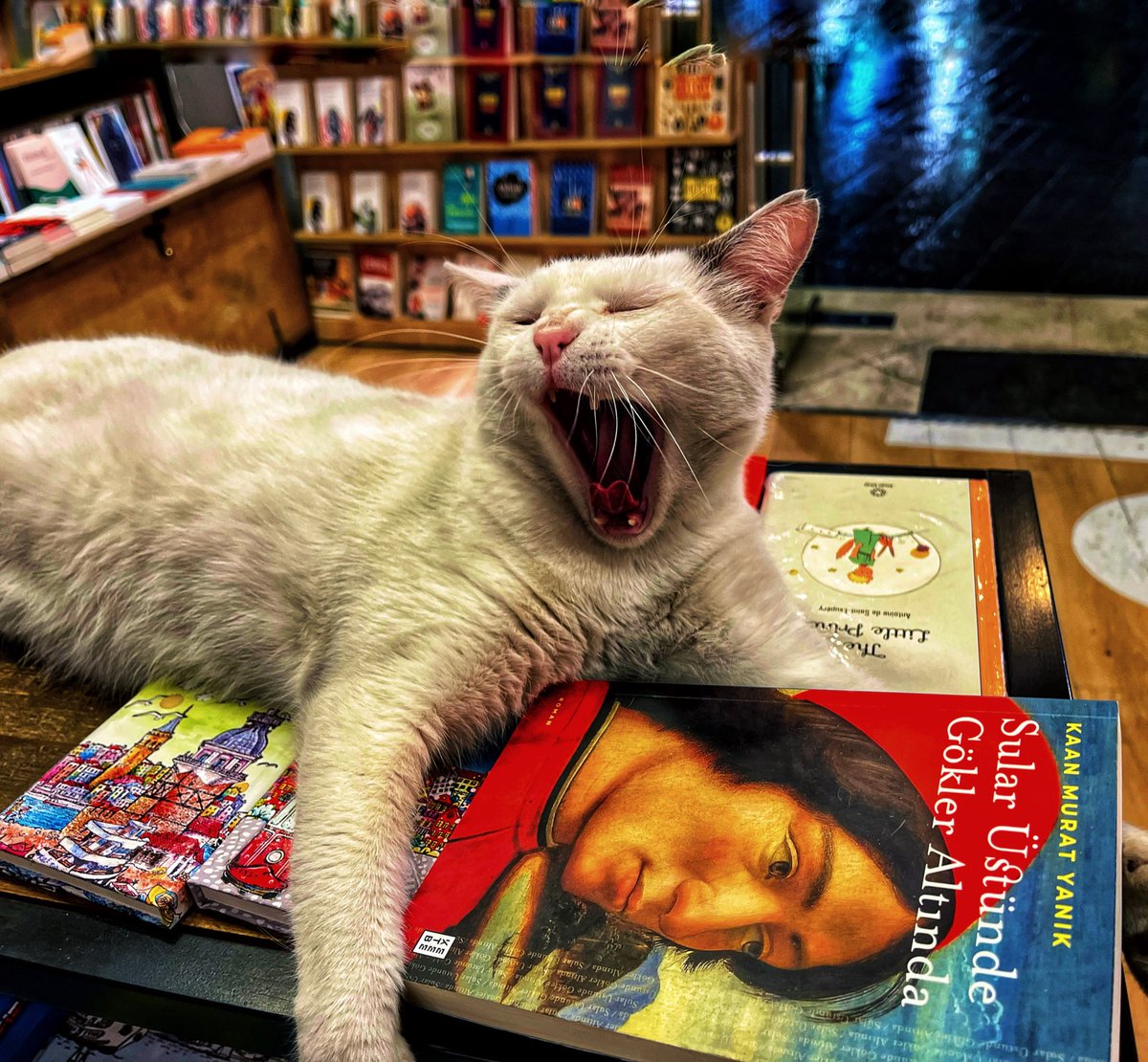 “İçimde bir yara taşıdığımı inkâr edemem. İstersen bunun adına öfke de istersen hayal kırıklığı... Ama bir kalp taşıdığını söyleyen insan, aynı zamanda bin yarayı da beraberinde taşımaz mı?”
/Sular Üstünde Gökler Altında /
<a href="/kaanmuratyanik/">Kaan Murat Yanık</a>