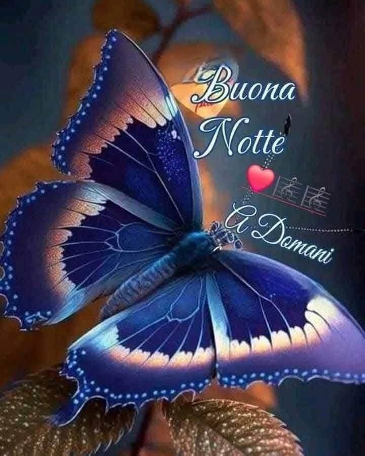 RITABIANCHi56 tweet media