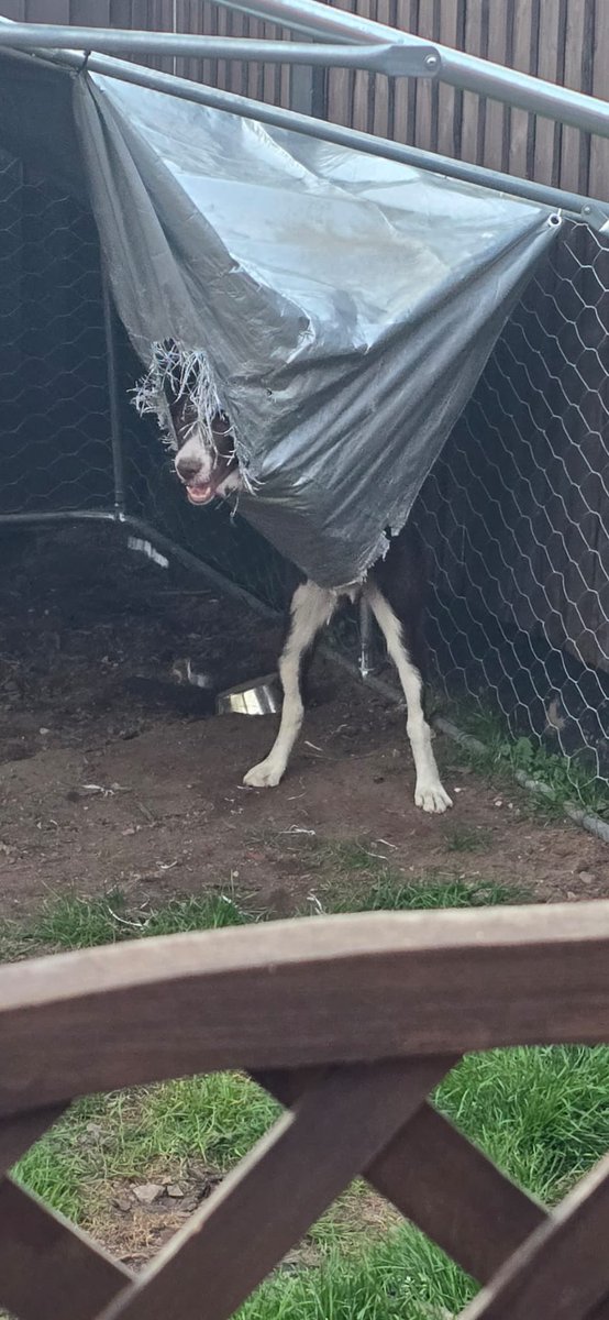 WackerPady's tweet image. I dont even know what to say