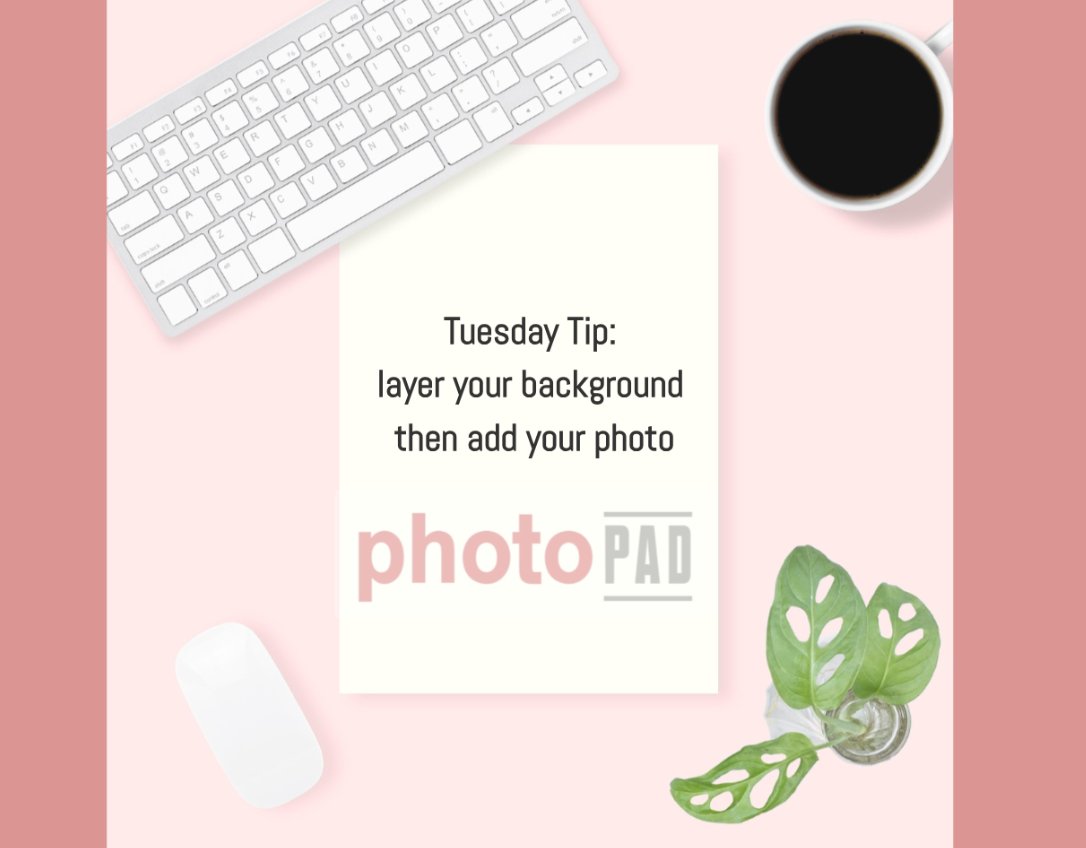 DianeDesignaAI's tweet image. In case you missed it-  Repurpose Like a Pro: Limited-Time Offer to Maximize Your Content! #smallbusiness #marketing #repurpose #createinPhotoPad
mailchi.mp/4171121a033e/a…