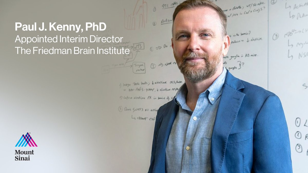 Friedman Brain Institute (@sinaibrain) on Twitter photo We are delighted to announce the appointment of @paulkennyphd, the Director of the Drug Discovery Institute and Chair of #NashNeuroscience <a href="/IcahnMountSinai/">Icahn School of Medicine at Mount Sinai</a>, as Interim Director of The #FriedmanBrainInstitute. Please join us in offering a HUGE CONGRATULATIONS to Dr. Kenny!💯🎉 We are delighted to announce the appointment of @paulkennyphd, the Director of the Drug Discovery Institute and Chair of #NashNeuroscience <a href="/IcahnMountSinai/">Icahn School of Medicine at Mount Sinai</a>, as Interim Director of The #FriedmanBrainInstitute. Please join us in offering a HUGE CONGRATULATIONS to Dr. Kenny!💯🎉