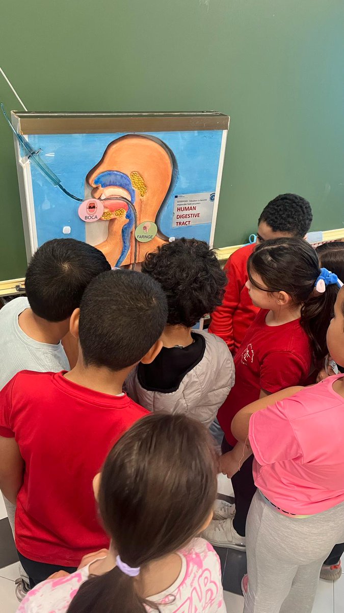 Antonio González-Sarrías (@agsarrias) on Twitter photo Hoy hemos visitado el colegio Nuestra Señora del Rosario (#Santomera) para realizar nuestro taller de Alimentación Saludable a niños de 2° y 3° de primaria. Desde el <a href="/CEBAS_CSIC/">CEBAS-CSIC</a> estamos comprometidos con la sociedad. Gracias <a href="/GOODFOOD_EPlus/">GOODFOOD project</a> por la ayuda <a href="/DPE_CSIC/">Postgrado CSIC</a> Hoy hemos visitado el colegio Nuestra Señora del Rosario (#Santomera) para realizar nuestro taller de Alimentación Saludable a niños de 2° y 3° de primaria. Desde el <a href="/CEBAS_CSIC/">CEBAS-CSIC</a> estamos comprometidos con la sociedad. Gracias <a href="/GOODFOOD_EPlus/">GOODFOOD project</a> por la ayuda <a href="/DPE_CSIC/">Postgrado CSIC</a>
