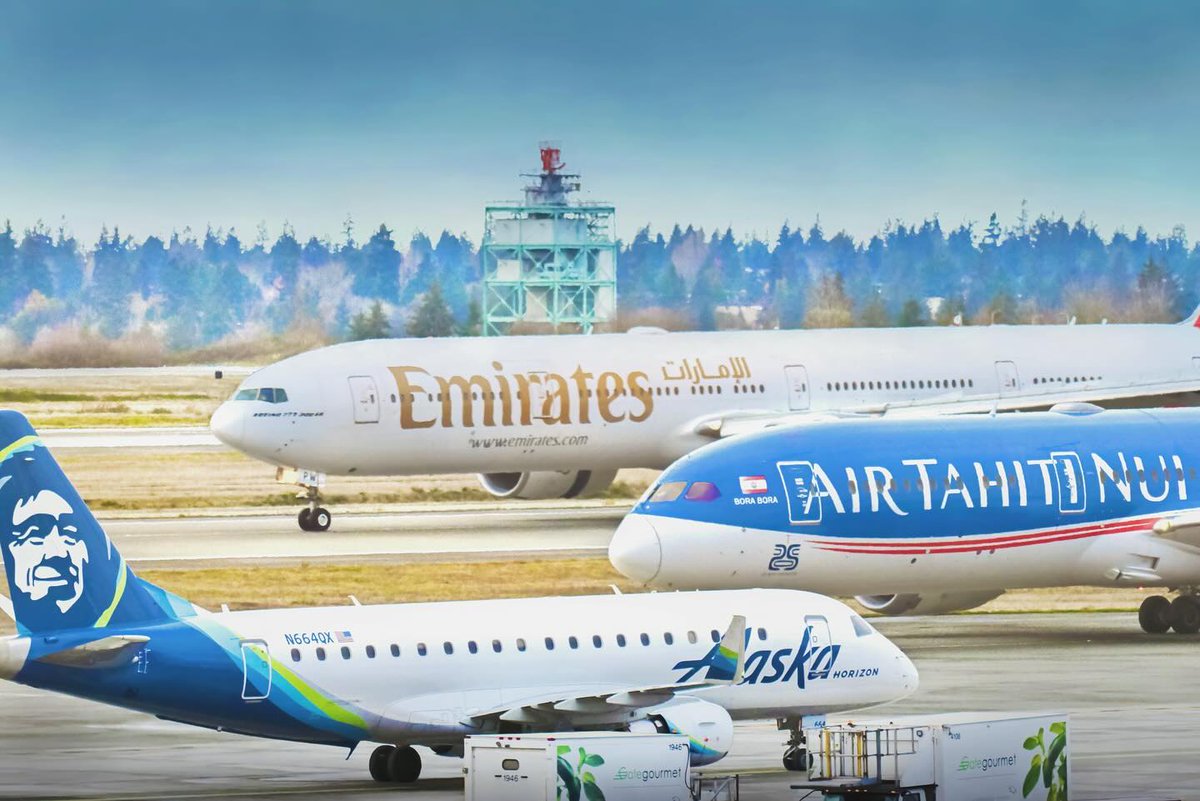 #TravelTuesday vibes: 37 airlines at SEA connect you to 94 nonstop domestic and 35 international destinations. Where to next? 🌍

Photo: @ theplanenerd