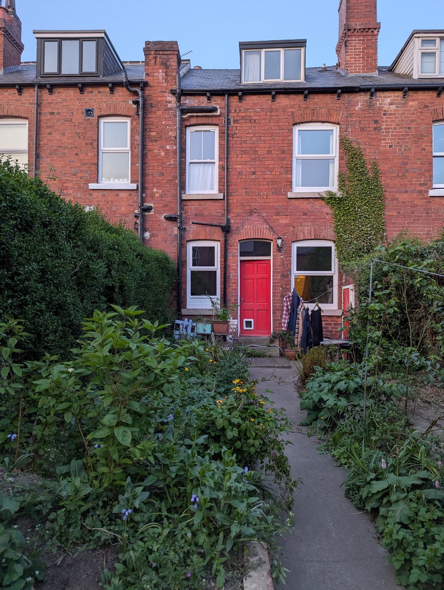 Tom Forth tweet media