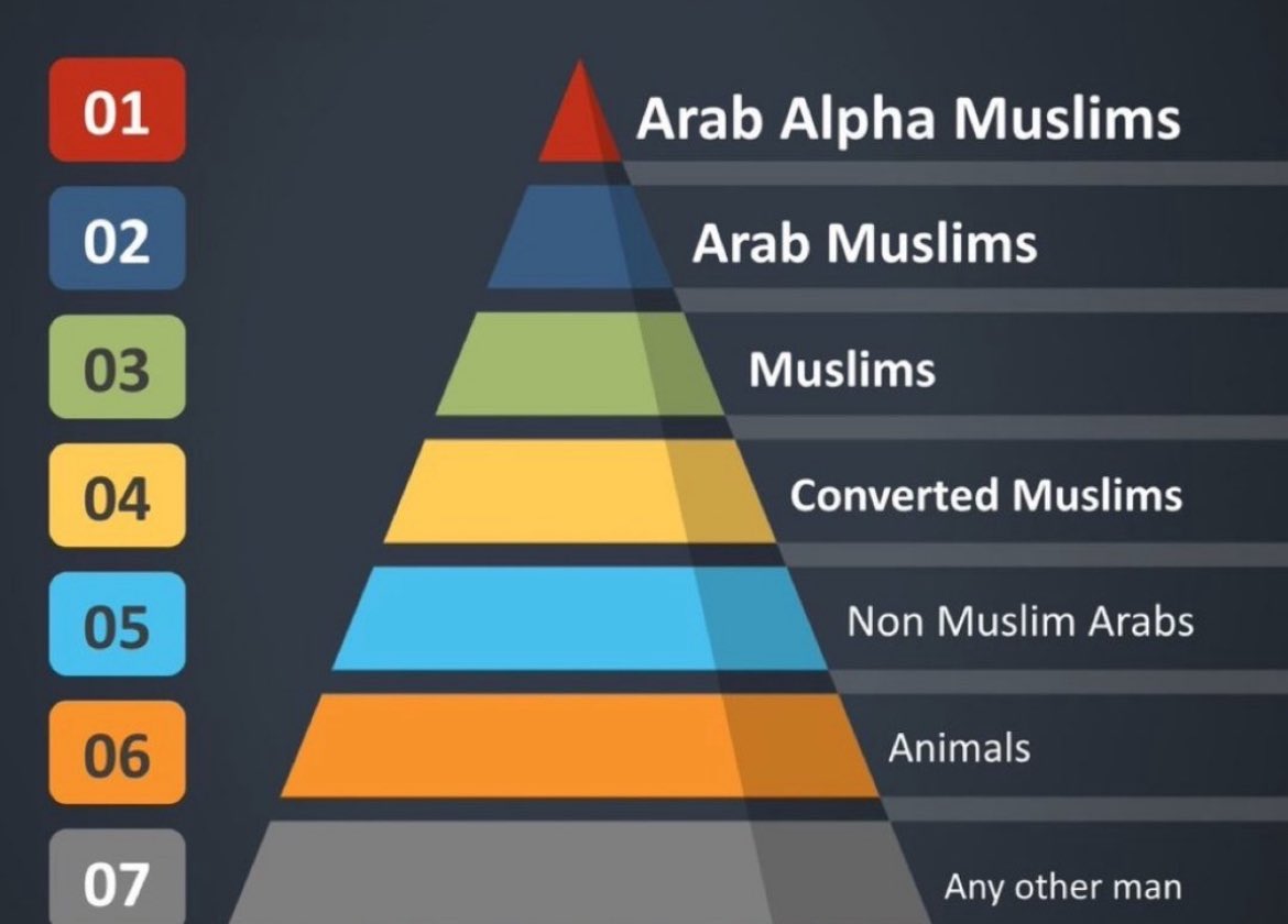 MNWO | Mindless Sub tweet media