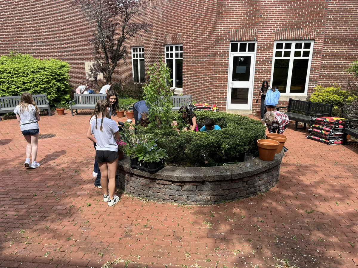 Ms. Phan tweet media