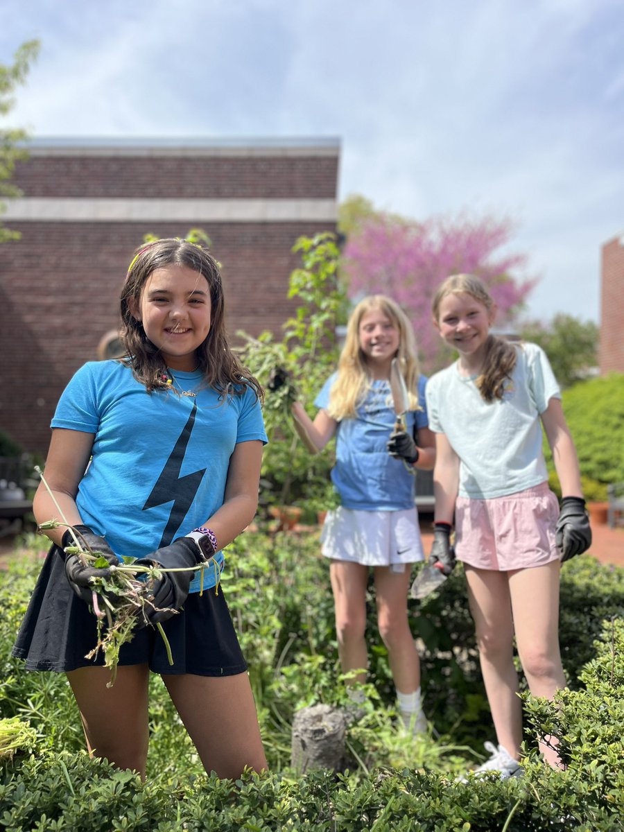 Ms. Phan tweet media