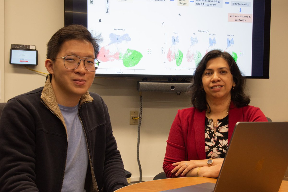Mizzou Life Sci Center (@bondlifesci) on Twitter photo How does obstructive sleep apnea affect children?
Trupti Joshi's lab published in Experimental Neurology with <a href="/marshallu/">Marshall University</a> scientists looking at OSA on a cellular level, analyzing patient data & building 3D models of Its impact on neurological functions.
bondlsc.missouri.edu/2025/04/28/beh… How does obstructive sleep apnea affect children?
Trupti Joshi's lab published in Experimental Neurology with <a href="/marshallu/">Marshall University</a> scientists looking at OSA on a cellular level, analyzing patient data & building 3D models of Its impact on neurological functions.
bondlsc.missouri.edu/2025/04/28/beh…