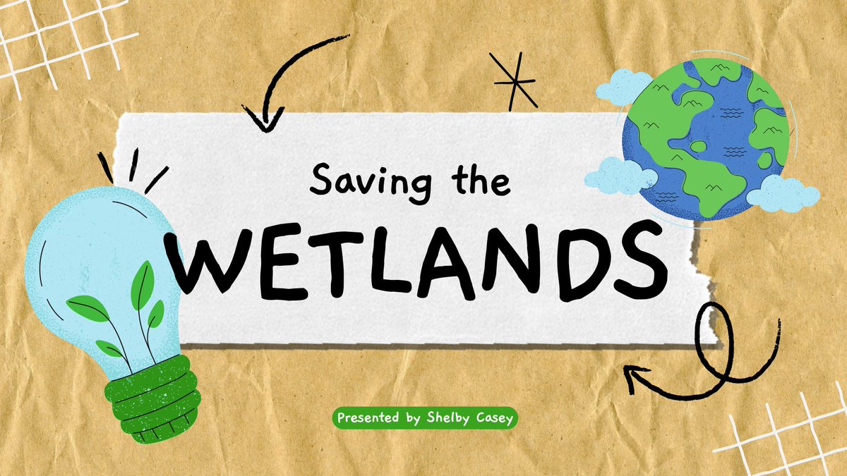 Jamie Fernandez-Schendt tweet media