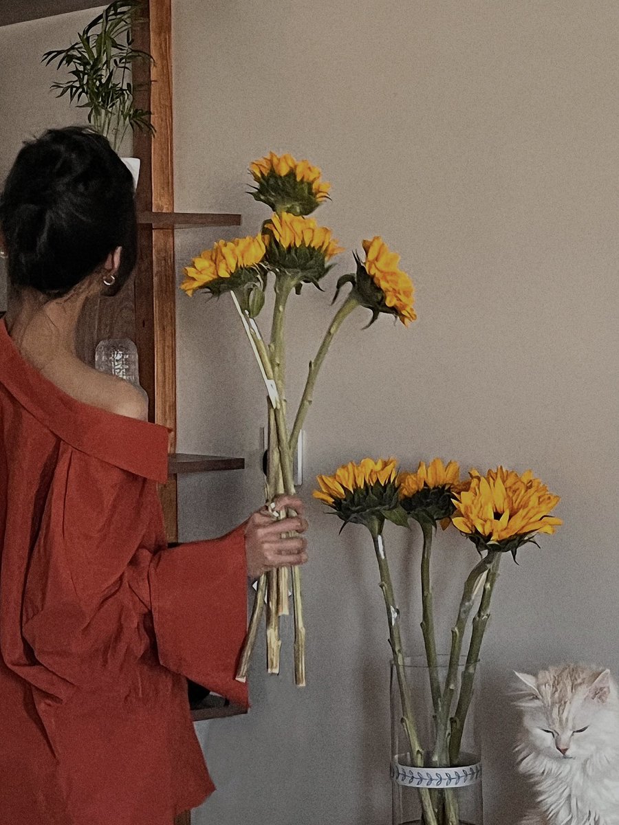 20_3_1998's tweet photo. shams… and sunflower https://t.co/CnEdSGma3Q