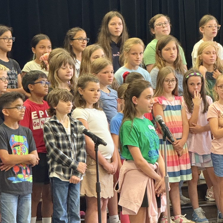 Shadow Forest Elem tweet media