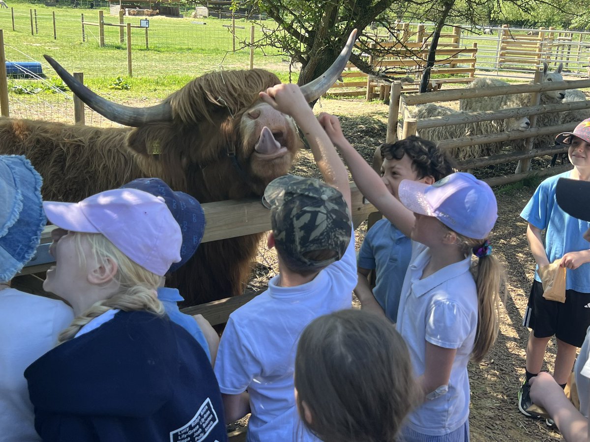 Thorndon CEVC Primary tweet media