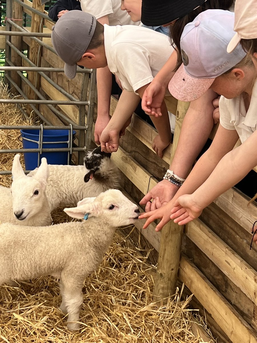 Thorndon CEVC Primary tweet media