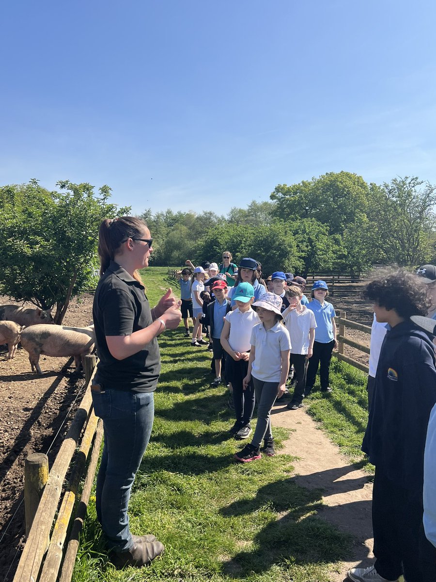 We had such a lovely, sunny day at Baylam Rare Breeds farm today. We fed lots of animals, rubbed pigs bellies, groomed goats and ponys, saw lots of baby lambs, stroked some very soft, fluffy rabbits and witnessed the goats being milked. Lots of wonderful outdoor learning.