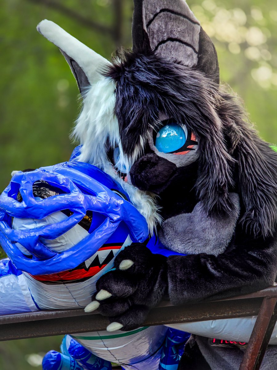 rubberist sharkerist tweet media