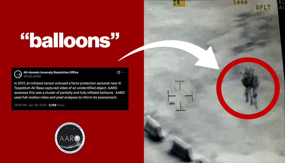 Steven Greenstreet 🐷 tweet media