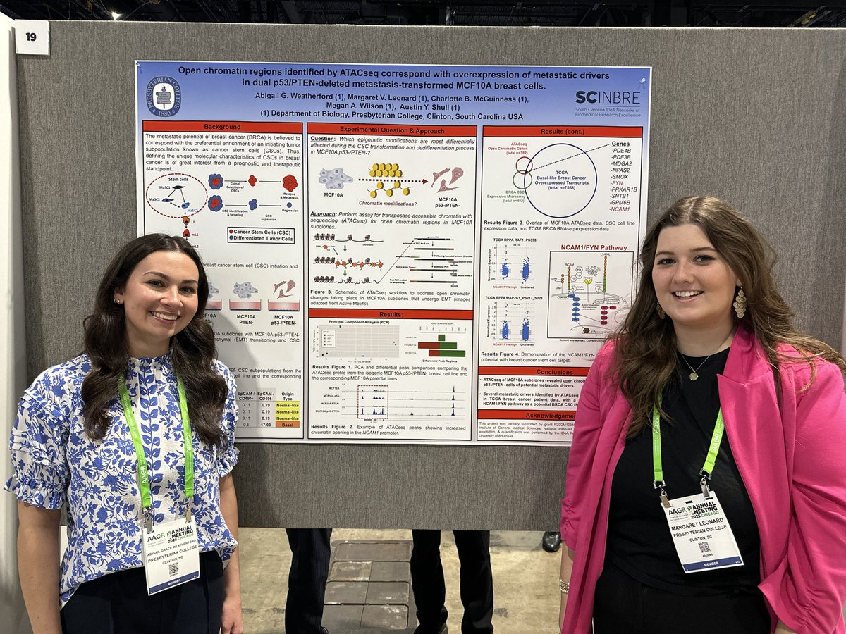 Austin Young Shull is also at 🟦 ☁️ (@youngshull) on Twitter photo A great time as always at #AACR2025. My two students learned a lot during the meeting.
I’m excited to see how they do w/ one graduating & heading to <a href="/muschollings/">MUSC Hollings Cancer Center</a> for grad school and the other heading to <a href="/jacksonlab/">The Jackson Laboratory</a> this summer. A great time as always at #AACR2025. My two students learned a lot during the meeting.
I’m excited to see how they do w/ one graduating & heading to <a href="/muschollings/">MUSC Hollings Cancer Center</a> for grad school and the other heading to <a href="/jacksonlab/">The Jackson Laboratory</a> this summer.