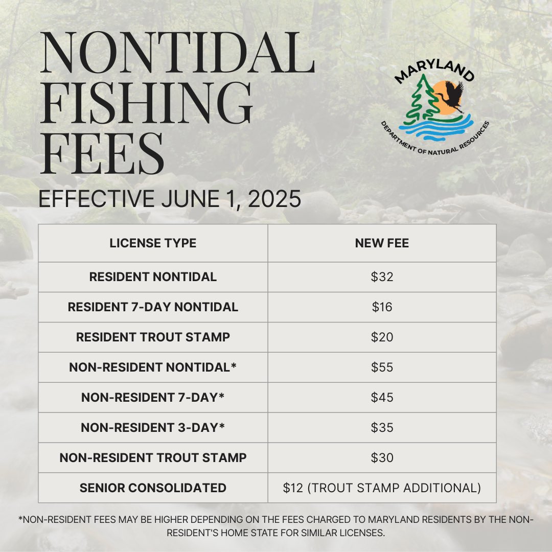 MDDNRFISH's tweet photo. Maryland’s Nontidal Fishing License Fees Increase June 1
Read More: https://t.co/f7hoyY6IGt https://t.co/NyFcVQ1WRw