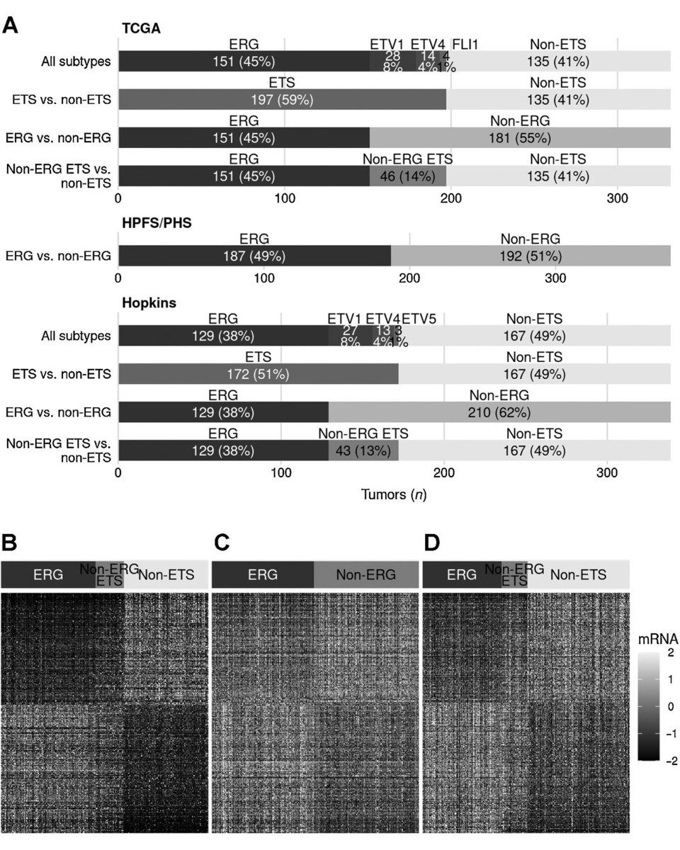 Molecular Cancer Research (@mcr_aacr) on Twitter photo Follow up on this afternoon's #AACR25 Molecular Taxonomy of #ProstateCancer session by reading this recent article on gene fusions, coauthored by session speaker Tamara Lotan (<a href="/LotanLab/">Tamara Lotan, MD</a>) and <a href="/MCR_AACR/">Molecular Cancer Research</a> Senior Editor Lorelei Mucci: doi.org/10.1158/1541-7… <a href="/AACR/">AACR</a> Follow up on this afternoon's #AACR25 Molecular Taxonomy of #ProstateCancer session by reading this recent article on gene fusions, coauthored by session speaker Tamara Lotan (<a href="/LotanLab/">Tamara Lotan, MD</a>) and <a href="/MCR_AACR/">Molecular Cancer Research</a> Senior Editor Lorelei Mucci: doi.org/10.1158/1541-7… <a href="/AACR/">AACR</a>