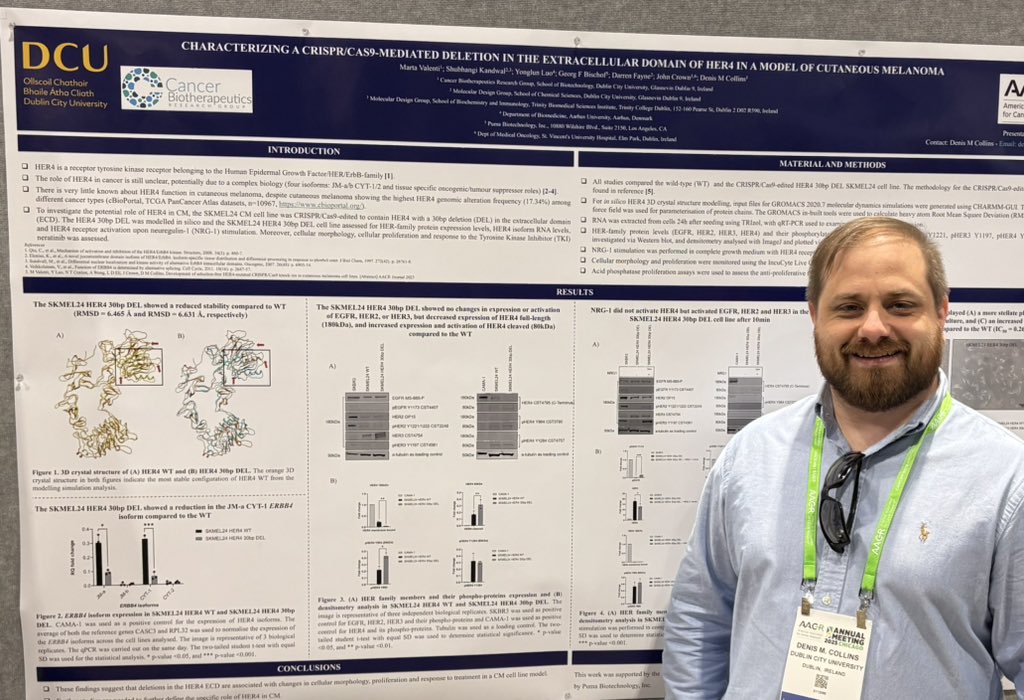 Denis Collins (@coileain) on Twitter photo Today I am presenting data at #AACR25 on novel HER4 CRISPR/Cas9-edited models of melanoma generated by <a href="/MartaValenti_/">Marta Valenti, PhD</a> funded by <a href="/Researchirel/">Research Ireland</a> and <a href="/pumabiotech/">@PumaBiotech</a> <a href="/DcuBiotech/">DCU School of Biotechnology</a> <a href="/DCU_LSI/">DCU Life Sciences Institute</a> <a href="/DCUFSH/">DCU Science and Health</a> <a href="/ProfJohnCrown/">ProfJohnCrown</a> <a href="/DCU_Research/">DCU Research</a> Today I am presenting data at #AACR25 on novel HER4 CRISPR/Cas9-edited models of melanoma generated by <a href="/MartaValenti_/">Marta Valenti, PhD</a> funded by <a href="/Researchirel/">Research Ireland</a> and <a href="/pumabiotech/">@PumaBiotech</a> <a href="/DcuBiotech/">DCU School of Biotechnology</a> <a href="/DCU_LSI/">DCU Life Sciences Institute</a> <a href="/DCUFSH/">DCU Science and Health</a> <a href="/ProfJohnCrown/">ProfJohnCrown</a> <a href="/DCU_Research/">DCU Research</a>