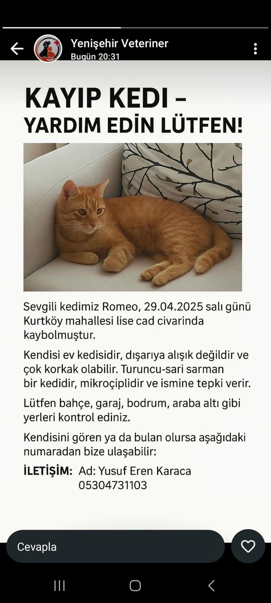 Arkadaşlar nolur paylaşır mısınız ?