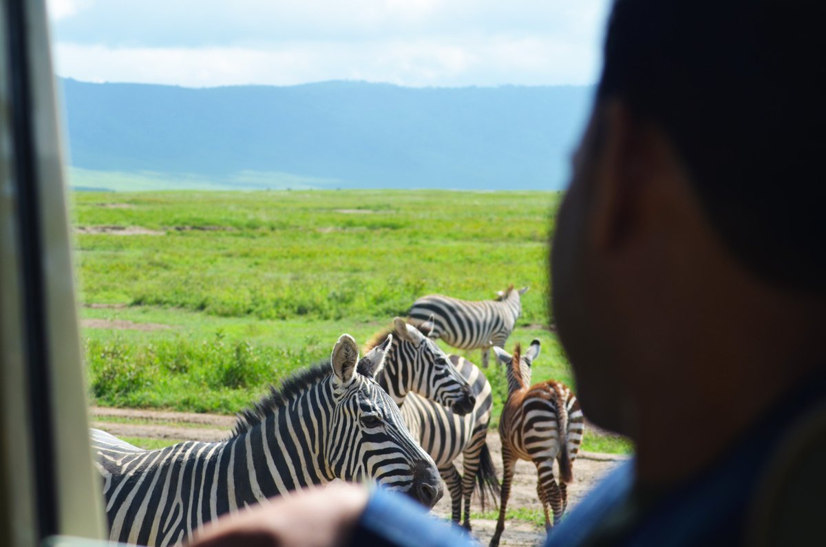 Kusini Tours tweet media