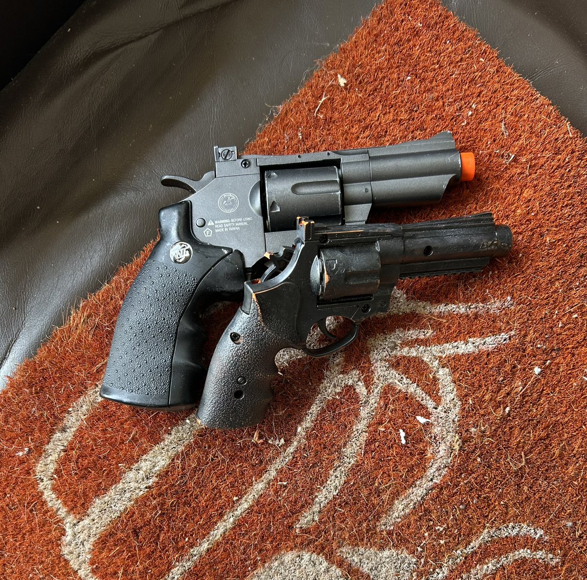 chipmunk but a girl tweet media