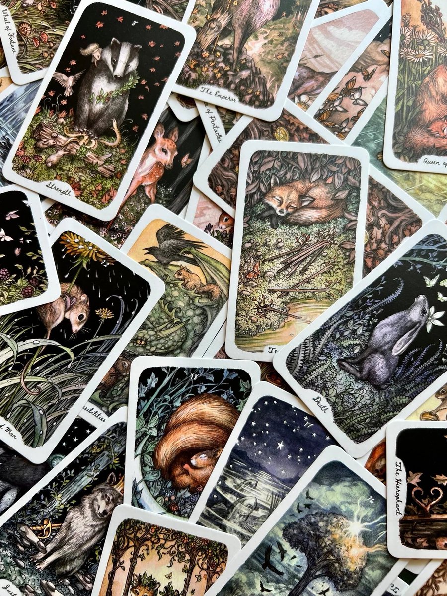 MrArcaneFox's tweet image. ⭐️ Ask Any Question Tarot Reading ⭐️ 

- Follow, RT &amp;amp; Like
- Comment your question, name; initials

Tip $4.44 for priority, this guarantees you a reading. $5 for a second question, $10 for a in-depth reading. 

Tip ➡️  linktr.ee/ArcaneFoxTV