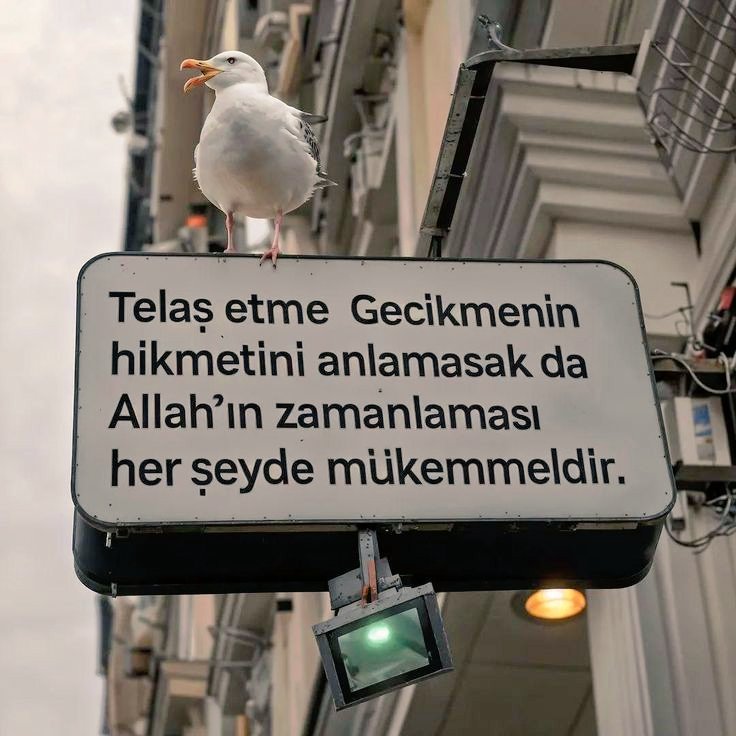 Kûn fe yekûn "Ol der ve olur"

Yasin / 82