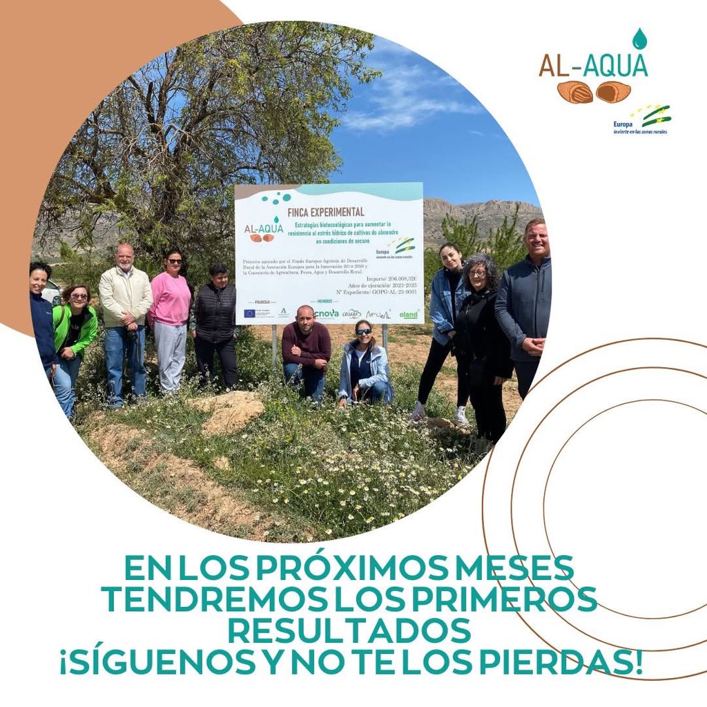 🌱 Hoy hemos vivido una jornada de campo en las instalaciones de CRISARA, donde mujeres agricultoras han conocido los avances del proyecto AL-AQUA, centrado en mejorar la resistencia del almendro de secano al estrés hídrico.