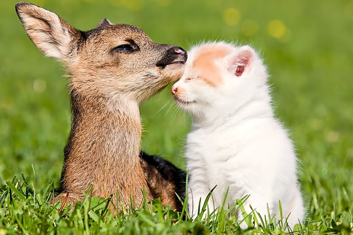 pretty fond of these two