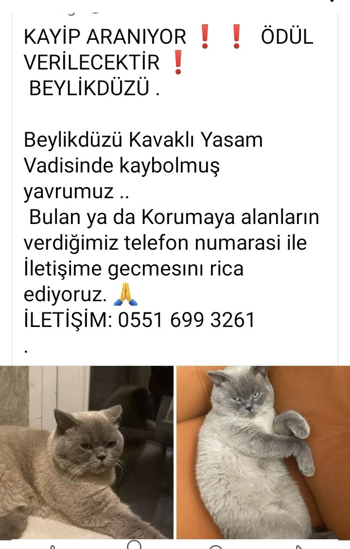 Beylikdüzü-Kavaklı yaşam vadisi KAYIP‼️