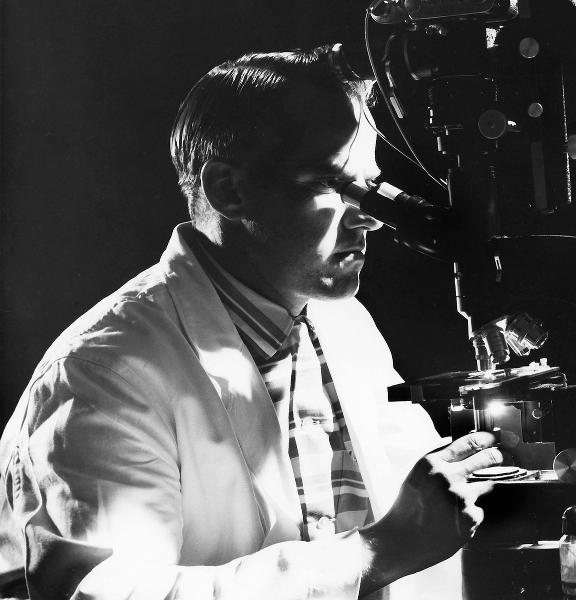 Tick Weaponization 101: Why and how the U.S. military turned ticks into stealth weapons during the Cold War. Did uncontrolled experiments with these eight-legged soldiers spark the rapid expansion of deadly tick-borne diseases that we're seeing today? #Lyme #ticks