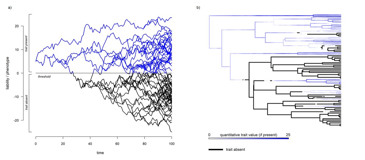 phytools_liam's tweet image. Today on the #phytools blog -- a new semi-threshold trait evolution model: blog.phytools.org/2025/04/a-new-….