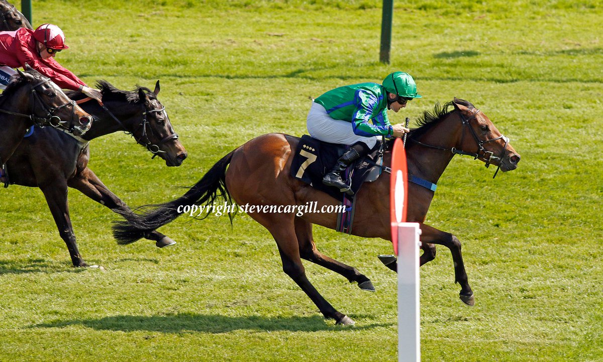 Steven_Cargill's tweet photo. 6th start, 1st win for filly RINKY TINKY TINKY @BennettC94 in 6f 3yo handicap @NottsRacecourse today for @OverburySires Ardad @GanseraLeveque https://t.co/lboquo5JEu
